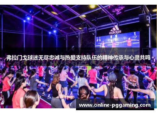 弗拉门戈球迷无尽忠诚与热爱支持队伍的精神传承与心灵共鸣 弗拉门戈球迷无尽忠诚与热爱支持队伍的精神传承与心灵共鸣