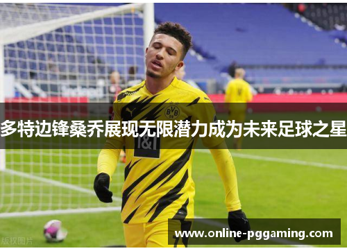 多特边锋桑乔展现无限潜力成为未来足球之星 多特边锋桑乔展现无限潜力成为未来足球之星