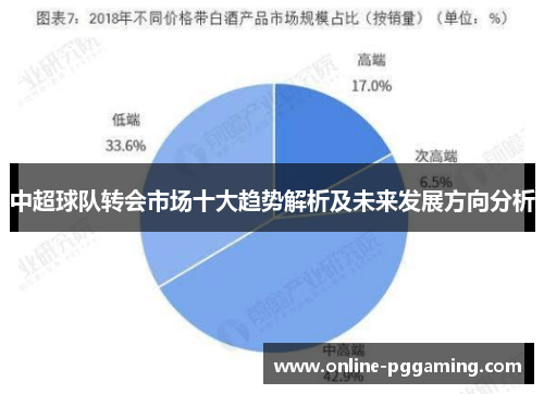 中超球队转会市场十大趋势解析及未来发展方向分析 中超球队转会市场十大趋势解析及未来发展方向分析
