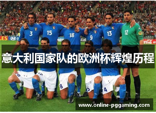 意大利国家队的欧洲杯辉煌历程