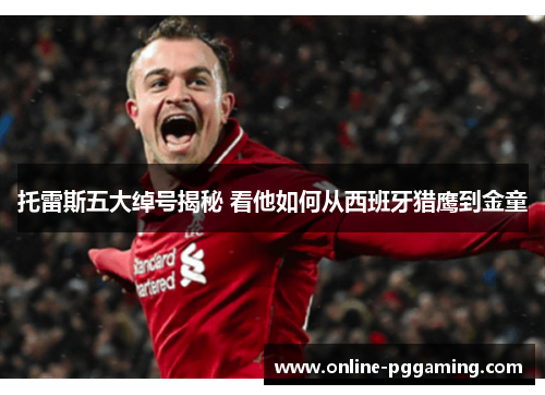 托雷斯五大绰号揭秘 看他如何从西班牙猎鹰到金童 托雷斯五大绰号揭秘 看他如何从西班牙猎鹰到金童