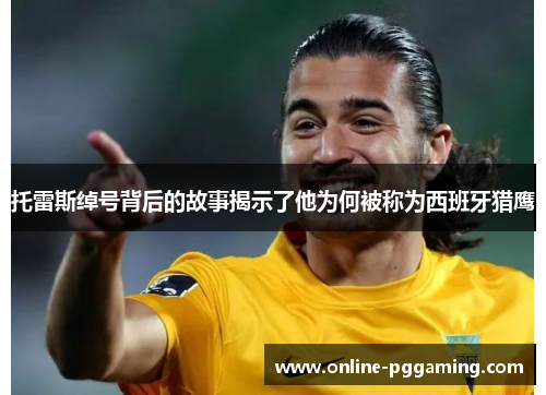 托雷斯绰号背后的故事揭示了他为何被称为西班牙猎鹰 托雷斯绰号背后的故事揭示了他为何被称为西班牙猎鹰